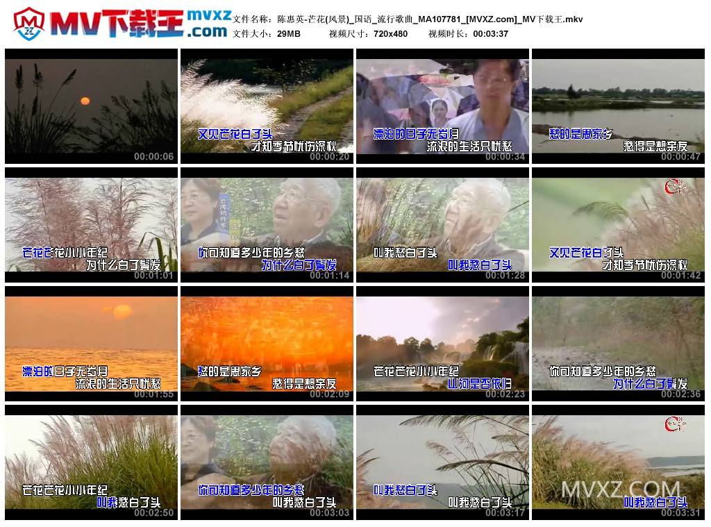 陈惠英-芒花(风景)_国语_流行歌曲_MA107781